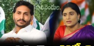 Sharmila Contest from Pulivendula, Sharmila from Pulivendula, Pulivendula Sharmila, Pulivendula, YS Sharmila, YS Jagan, AP Elections, Congress, Latest Sharmila Polictical News, Sharmila Polictical News Updates, Andra Pradesh, AP Polictical News, Assembly Elections, Mango News, Mango News Telugu