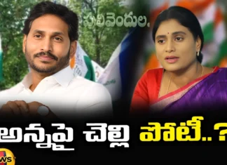 Sharmila Contest from Pulivendula, Sharmila from Pulivendula, Pulivendula Sharmila, Pulivendula, YS Sharmila, YS Jagan, AP Elections, Congress, Latest Sharmila Polictical News, Sharmila Polictical News Updates, Andra Pradesh, AP Polictical News, Assembly Elections, Mango News, Mango News Telugu
