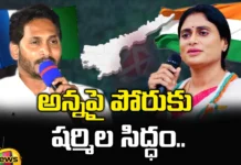 Sharmila, Pulivendula, Sharmila Contest, YS Sharmila, Congress, CM jagan, YCP, YS Sunitha in Pulivendula, AP CM, CM YS Jagan Mohan Reddy, AP Congress, Andhra Pradesh News Updates, AP Political News, Mango News Telugu, Mango News