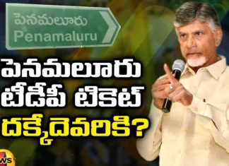 Penamaluru, TDP, Penamaluru TDP Ticket, Who will get Penamaluru TDP Ticket, Chandrababu Naidu, AP Elections, MLA Kolusu Parthasarathy, Chandrababu Naidu, YSRCP, Lok Sabha elections, Andhra Pradesh News Updates, AP Political News, Mango News Telugu, Mango News