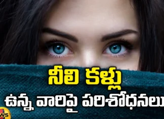 Research on people with blue eyes,Black eyes, brown eyes, blue eyes, cat eyes, green eyes, changes in genes, will blue eyes occur?, genetic mutation, eyes, hypothesize there may be a link between eye color, study of eyes, blue-eyed humans, Mango News Telugu, Mango News