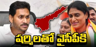 Will YCPs Vote Bank Shift to Congress, Vote Bank Shift to Congress, YCPs Vote Bank Shift, YCPs Vote Bank, YS Sharmila, CM Jagan, Congress, YCP, AP politics, Latest YCPs Vote Bank News, YCPs Vote Bank News Upadte, Jagan, AP CM, Andhra Pradesh, AP Polictical News, Assembly Elections, Mango News, Mango News Telugu