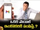 Making This Mistake In Gmail, This Mistake In Gmail, Gmail Mistake, Send Mail, Gmail, An Editing Feature In Gmail, Select Undo, Undo Option, Latest Gmail News, Gmail News Update, Gmail Spam, Technology, Latest Gmail Spam News, Mango News, Mango News Telugu