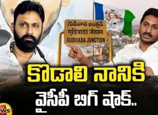 Kodali nani, YCP, CM Jagan, gudivada, AP Elections,TDP,YCP MLA Ticket,Andhra Pradesh News Updates, AP Political News, AP Latest news and Updates, AP Politics, AP Elections,andhra pradesh, Mango News Telugu,Mango News,AP updates