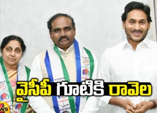 Ravela kishore, YCP, CM Jagan, AP Politics, Minister, YSRC, Ravela Kishore Babu, Andhra Pradesh, Legislative Assembly election, Andhra Pradesh News Updates, AP Political News, AP, AP Elections, Mango News Telugu, Mango News