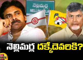 YSRC, TDP, Janasena, AP Elections, nellimarla, Andhra Pradesh News Updates, AP Political News, AP Latest news and Updates, AP Politics, AP Elections, chandrababu, pawan kalyan, andhra pradesh,Mango News Telugu, Mango News