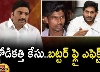MP Raghuramakrishnam Raju, Kodi Katti Case, CM Jagan, AP Highcourt, YS Sharmila, Andhra Pradesh News Updates, AP Political News, AP Latest news and Updates, AP Politics, AP Elections, andhra pradesh news, AP Political Updates, Jagan Latest News, Mango News Telugu, Mango News