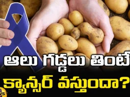 Eating potatoes cause cancer?, Potatoes are bad for health, Potatoes,cancer, pancreatic cancer, Side Effects and More!, World Health Organization, health tips, healthy food, junkfood, over heated, fried food, Acrylamide, Mango News Telugu, Mango News