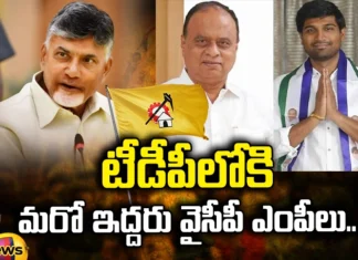 TDP, YCP MPs, Lavu srikrishnadevarayalu, vemireddy prabhakar reddy,CM Jagan,Andhra Pradesh News Updates, AP Political News, AP Latest news and Updates, AP Politics, AP Elections,assembly elections,andhra pradesh,AP Political updates,Mango News Telugu,Mango News