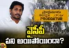 YCP, Proddutur, Pawan Kalyan, Janasena, Bhimavaram, Alliance, all constituencies, TDP, Chandra Babu, YS Jagan, Andhra Pradesh News Updates, AP Politics, AP Elections, Mango News Telugu, Mango News