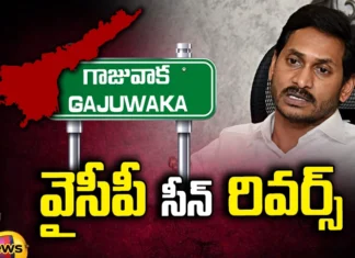 YCP ,Jagan,TDP, Janasena, Pawan Kalyan,Gajuwaka, Chiranjeevi, Praja Rajyam Party, Chintalapudi Venkatramaiah, Palla Srinivasa Rao, Pawan Kalyan, Tippala Nagireddy, Varikooti Ramachandra Rao,Mango News Telugu,Mango News