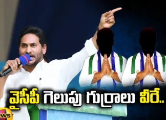 These Are The Winning Horses Of YCP.., These Are The Winning Horses, Winning Horses Of YCP, YCP Winning Horses, AP State , Elections , YCP , TDP , Janasena , CM Jaganmohan Reddy ,Pawan Kalayan, CM Jagan, AP Live Updates, Andhra Pradesh, Political News, Mango News, Mango News Telugu
