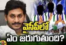 What Happens In YCP?, AP, Telangana, TDP, Janasena, BJP, Congress, YCP, YCP Leaders, Latest YCP Political News, CM Jagan, AP Live Updates, Andhra Pradesh, Political News, Mango News, Mango News Telugu