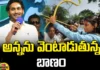 AP State political, Elections , Nominations , TDP vs YSRCP
