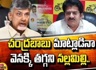 Nallamilli Does Not Back Down Even If Chandrababu Talks.., Nallamilli Does Not Back Down, Anaparthi Political War, Nallamilli Not Stepping Back, Anaparthi, Nallamilli, Not Stepping Back, Chandrababu Talks, Nallamilli Political News, AP Live Updates, Andhra Pradesh, Political News, Mango News, Mango News Telugu