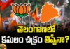 telangana state , BJP to play a main role in Telangana state
