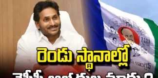 YCP, CM Jagan, AP, YCP Candidates