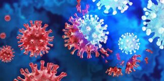 Next-Pandemic-Inevitable-Top-British-Scientist-Sir-Patrick-Vallance-Warns,Next-Pandemic-Inevitable,Top-British-Scientist-Sir-Patrick-Vallance-Warns,Pandemic,Corona, Covid19,Another Pandemic To Happen Soon,Sir-Patrick-Vallance-Warns,Carona New Varient,Scientist-Sir-Patrick-Vallance,Mango News,Mango News Telugu