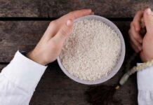 Can We Lose The Weight If We Stop Eating Rice?, Stop Eating Rice, Can We Lose The Weight, Weight Lose, Lose Weight If You Stop Eating Rice, Stop Eating Rice, Doing Different Types Of Dieting, Exercise, Metabolism, Belly Fat, Obesity, Health Tips, Healthy Food, Healthy Diet, Fitness, Mango News, Mango News Telugu