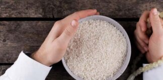 Can We Lose The Weight If We Stop Eating Rice?, Stop Eating Rice, Can We Lose The Weight, Weight Lose, Lose Weight If You Stop Eating Rice, Stop Eating Rice, Doing Different Types Of Dieting, Exercise, Metabolism, Belly Fat, Obesity, Health Tips, Healthy Food, Healthy Diet, Fitness, Mango News, Mango News Telugu