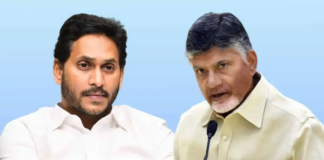 CP, TDP, BJP, Congress, Janasena,Bettings, who will win in AP,Pawan Kalyan, Chandrababu, Nara Lokesh, Chief Minister Jagan, Balakrishna, Kodali Nani,