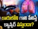 Can We Get Cancer If We Breathe The Air Inside The Car?, Can We Get Cancer, Breathe The Air Inside The Car, Car Air Cancer, Cancer Inside The Car Air, Cancer In Car, Get Cancer In The Car,Carcinogens , Toxins, Car Air, Health Tips, Healthy Food, Healthy Diet, Fitness, Mango News, Mango News Telugu