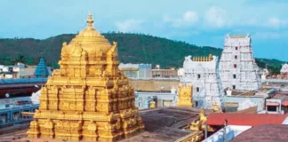 J Shyamala Rao As The New EO Of TTD,The New EO Of TTD,J Shyamala Rao,TTD executive officer,TTD EO,AP News,Tirumala Tirupati Devasthanams,AP Govt Appoints Syamala Rao as EO,Syamala Rao as EO OF TTD,AP Live Updates, AP Politics, Political News, Mango News, Mango News Telugu, TTD new EO J.Shyamala Rao, TDP,Jagan, Dharma Reddy,Chandrababu,YCP