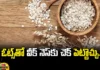 Weakness Can Be Checked With Oats, Oatmeal Diet,Health Benefits Of Oatmeal,Oatmeal Nutrition,Healthy Food,Healthy Diet, Carbohydrates, Oats, Oats Are Rich In Fiber,Proteins, Vitamin B-2, Vitamin C,Weakness, Healthy Oats,Mango New,Mango News Telugu