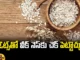 Weakness Can Be Checked With Oats, Oatmeal Diet,Health Benefits Of Oatmeal,Oatmeal Nutrition,Healthy Food,Healthy Diet, Carbohydrates, Oats, Oats Are Rich In Fiber,Proteins, Vitamin B-2, Vitamin C,Weakness, Healthy Oats,Mango New,Mango News Telugu