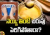 What Does Ayurveda Say About Ghee,Ayurveda About Ghee, Gain Weight If You Eat Ghee?,Ghee,Ayurveda,Health Benefits Of Ghee,The Golden Goodness Of Ghee,Ayurvedic Ghee,Ghee The Ayurvedic Holy Medicine,The Effect Of Ghee,Ghee Benefits,Ayurveda Ghee Recipe,Excellent Health Benefits Of Ghee,Healthy Diet,Healthy Food,Healthy Eating,Simple Steps To A Healthy Diet ,Mango News Mango News Telugu,