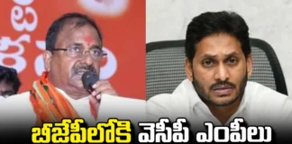 Somuveerraju Reacted To The Campaign That YCP MPs Are Going To Join BJP, Somuveerraju Reacted To The Campaign, YCP MPs Are Going To Join BJP, YCP Campaign, Somuveerraju, YCP MPs, BJP, AP, Jagan, PM Modi, Chandrababu Naidu, Andhra Pradesh, AP Live Updates, AP Politics, Political News, Mango News, Mango News Telugu