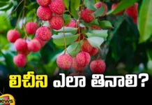 It Is Dangerous To Eat Litchi Fruits Like That,It Is Dangerous To Eat Litchi Fruits,Eat Litchi Fruits Like That, How To Eat Litchi,Lychee, MCPG,Litchi Bihar,Bihar Litchi News In Hindi,Bihar Litchi Incident,Encephalitis,Encephalitis Bihar,Encephalitis Bihar News,Encephalitis Bihar Lychee,Bihar News,Litchi Fruit,Eating Too Many Lychees,Lychee Fruit Side Effects,Litchi Fruit Benefits,Litchi,Side Effects,Side Effects Of Lychees,Side Effect Of Lychee Fruit,Side Effect Of Lychee,Health Benefits Of Lichi,Litchi Benefits Of Lychee,Litchi Tree,The Foodie,Tn Foodie,Food Recipes,Mango News, Mango News Telugu,