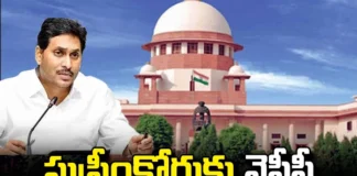 YCP Went To The Supreme Court On The Issue Of Postal Ballots, Supreme Court On The Issue Of Postal Ballots,Supreme Court,YCP Went To The Supreme Court, Postal Ballot,YCP,Supreme Court,AP,Election Counting, AP Assembly Elections,,Andhra Pradesh Exit Poll 2024,Andhra Pradesh Lok Sabha Election 2024,Andhra Pradesh Assembly Election,Exit Poll 2024 AP,AP Exit Poll 2024 Highlights,AP Politics,Janasena,Mango News,Mango News Telugu