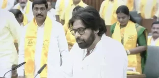 pawan kalyan, janasena, ap assembly, tdp