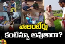 Will The Volunteers Continue In AP?,Volunteers,Volunteers Continue In AP?,Chief Minister Chandrababu Naidu, AP Government, Chandrababu, services of volunteers?,TDP,pawan kalyan,Modi,Janasena,Loksabha,YCP Prime Minister,Modi,AP Live Updates, AP Politics, Political News,Mango News, Mango News Telugu