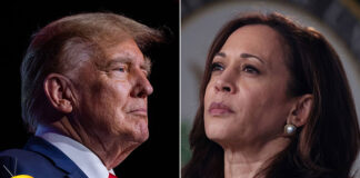 Support For Kamala Harris Is Growing Day By Day,Kamala Harris Is Growing Day By Day,Kamala Harris,Support For Kamala Harris,Growing Day By Day, 2024 US Elections, Donald Trump,American Presidential Race Is Exciting, American President,Joe Biden, Support For Kamala Harris, The American Presidential Race Is Exciting,American Presidential Race,,Live Updates, Politics, Political News,Mango News,Mango News Telugu,