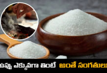 What W.H.O Said About Salt Is The Bitter Truth,Salt Is The Bitter Truth, W.H.O, eat too much salt,salt,The bitter truth about salt,Salt Trumps Bitter,Flavor Can Be Painful,The bitter truth,Healthy diet,Healthy Food,healthy eating,Simple Steps to a Healthy Diet ,Mango News mango news Telugu,