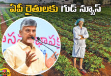 Good News For AP Farmers,Good News, AP Farmers,AP, AP CM Chandrababu,TDP, The Benefit Is Up To One Lakh Rupees, With The New Scheme, YS Jagan,Jana Sena,Pawan Kalyan,AP election results , Assembly Elections, Lok Sabha Elections, AP Live Updates, AP Politics, Political News, Mango News, Mango News Telugu