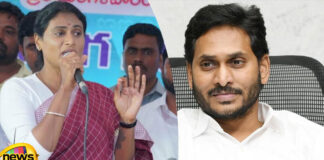 YS Sharmila Agreed With Ys Jagans Comments On The Deccan Chronicle Controversy, YS Sharmila Agreed With Ys Jagans Comments ,Jagans Comments On The Deccan Chronicle Controversy,Ys Jagans Comments On The Deccan Chronicle,Jagans Comments ,YS Sharmila,Ys Jagan,Janasena, pawan kalyan,TDP,YCP,Assembly Elections, Lok Sabha Elections, AP Live Updates, AP Politics, Political News, Mango News, Mango News Telugu