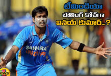 టీమిండియా బౌలింగ్ కోచ్ గా వినయ్ కుమార్…? Will Vinay Kumar Get A Chance As Team Indias Bowling Coach,Will Vinay Kumar Get A Chance Indias Bowling Coach,Indias Bowling Coach,Team Indias Bowling Coach,Team India,Vinay Kumar As Team Indias Bowling Coach,Vinay Kumar,India,BCCI,Bowling Coach,Live Updates, Political Updates, Political News,Mango News, Mango News Telugu