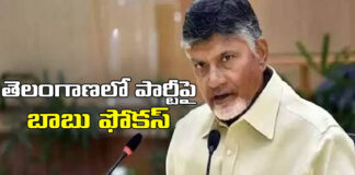 Chandrababu Naidus Focus On Telugu Desam Party In Telangana, Telugu Desam Party,Telangana, Chandrababu Naidus Focus On Telangana,Chandrababu Naidus Focus,Chandrababu Naidus,TDP, ap cm chandrababu, The post of TTDP chief,TTDP,Assembly Elections, Lok Sabha Elections, AP Live Updates, AP Politics, Political News, Mango News, Mango News Telugu