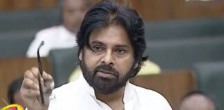 Pawan Kalyan Commented That If He Does Wrong Punish Him Too,Pawan Kalyan Commented,If He Does Wrong Punish Him Too,Wrong Punish , AP Deputy CM,Janasena,Pawan Kalyan,Chandrababu,Janasena,Nagababu, Pawan's interference,TDP,pawan kalyan,Modi,Janasena,Loksabha,YCP,Pawan Kalyan,AP Polling, AP election results , Assembly Elections, Lok Sabha Elections, AP Live Updates, AP Politics, Political News,Mango News, Mango News Telugu