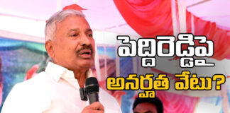 Will Peddireddy Ramachandra Reddys Membership Of Legislative Assembly Be Cancelled,Peddireddy Ramachandra Reddys Membership Of Legislative Assembly Be Cancelled,Peddireddy Ramachandra Reddys,Membership Of Legislative Assembly Be Cancelled,Membership Of Legislative Assembly,Peddireddy Ramachandra Reddys, Legislative Assembly, Ponganur MLA,YCP,AP Live Updates, AP Politics, Political News, Mango News,Mango News Telugu