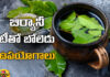 uses of biryani tea, biryani, tea