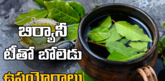 uses of biryani tea, biryani, tea