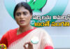 Congress High Command, Congress Working Presidents, YS Sharmila, ap congress