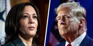 The Question Is Whether Kamala Harris Is Indian, Kamala Harris Is Indian, Donald Trump Vs Kamala Harris, Kamala Harris, Kamala Harris Is Indian?, Trump'S Comments Are Rubbish, Donald Trump,American Presidential Race Is Exciting, American President,Joe Biden, Support For Kamala Harris, The American Presidential Race Is Exciting,American Presidential Race,,Live Updates, Politics, Political News,Mango News,Mango News Telugu,