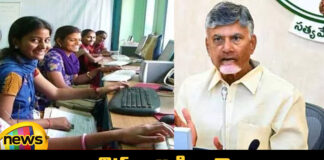 AP CM Babus Key Decision On The Volunteer System, AP CM Babus Key Decision, Key Decision On The Volunteer System, AP Volunteer System, AP CM Chandrababu, AP CM’S Key Decision On The Volunteer System, AP Volunteer System, Jobs Based On Skill, Training, Andhra Pradesh, AP Live Updates, AP Politics, Political News, Live Updates, Mango News, Mango News Telugu