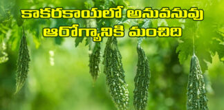 Nutrients In Bittergourd Are Good For Health, Nutrients In Bittergourd, Bittergourd Are Good For Health, Benefits of Bittergourd, Health Benefits Bitter Gourd, Benefits of Bitter Melon, Bittergourd For Kidneys, Bitter Gourd Vitamins, Bittergourd, Kakarakaya, Health News, Health Tips, Healthy Food, Healthy Diet, Fitness, Mango News, Mango News Telugu