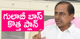 Kcr's Decision On The Key Post For Sabita, Sabita Incident, Sabita Asembly News, Telangana Budget, Harish Rao, KCR New Plan, Kcrs Decision, Key Post For Sabita, KTR, Telangana, BRS, Congress, TS Politics, TS Live Updates, Political News, Mango News, Mango News Telugu
